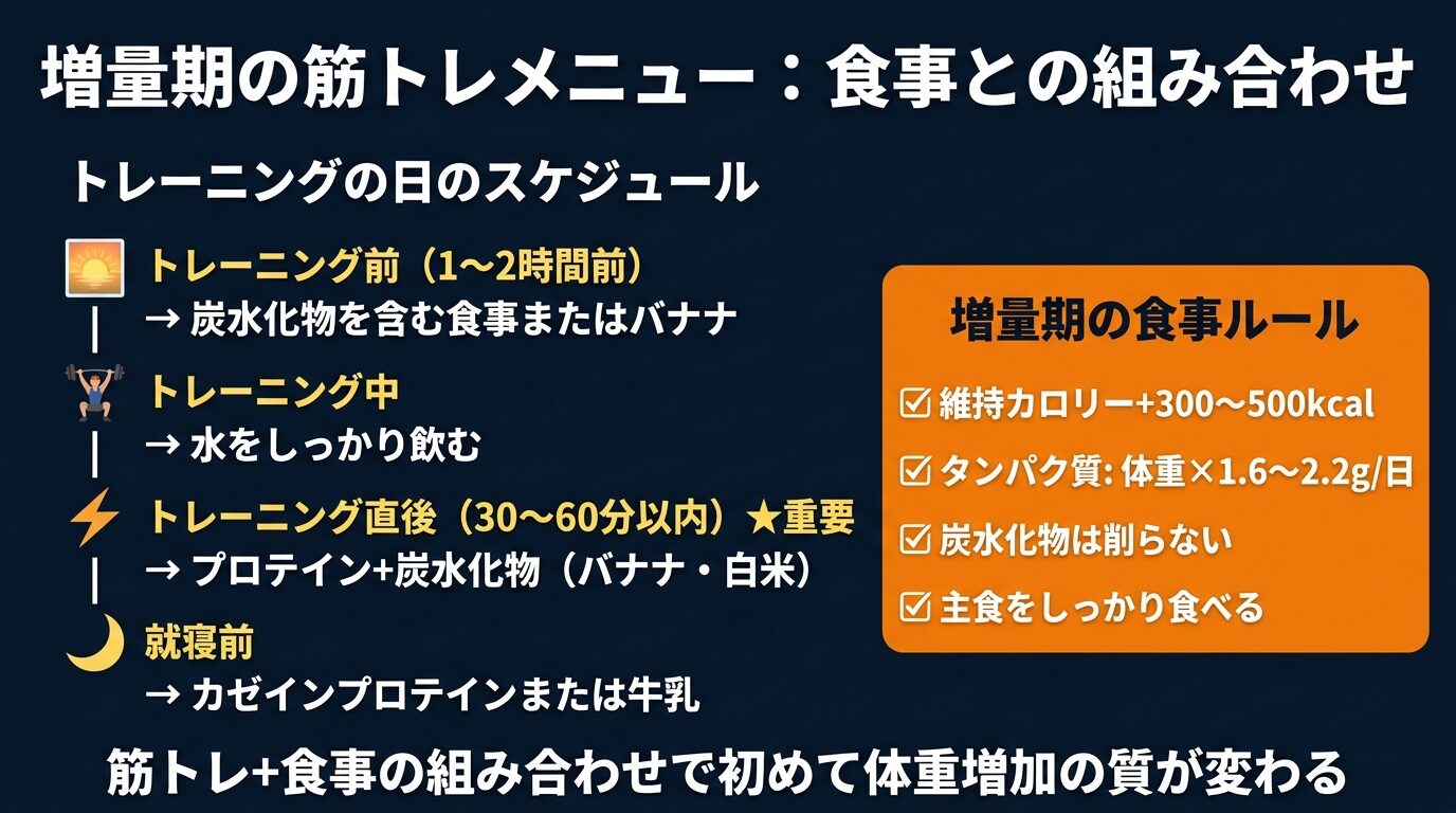 増量期の筋トレメニュー：食事との組み合わせ