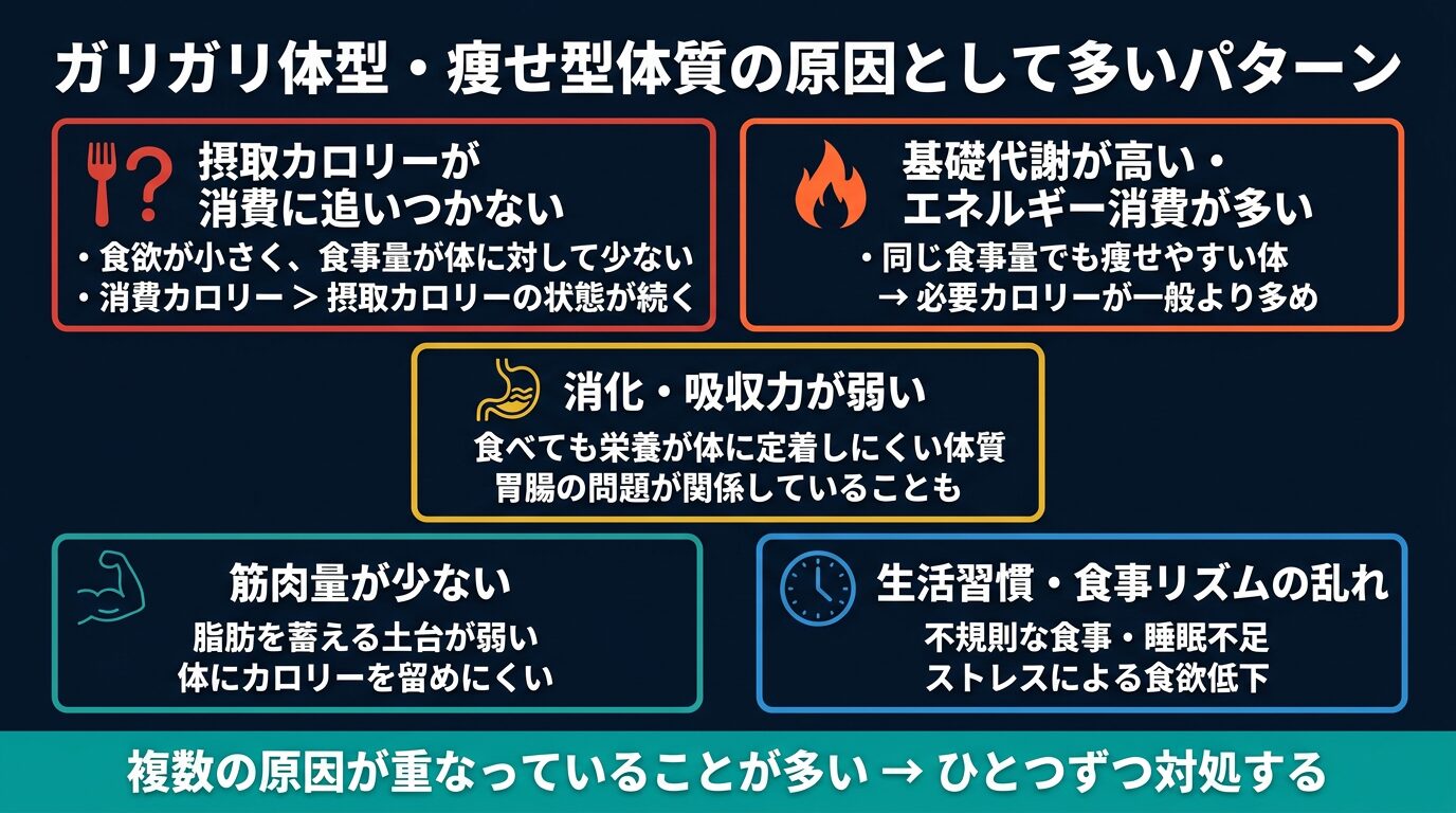 ガリガリ体型・痩せ型体質の原因として多いパターン