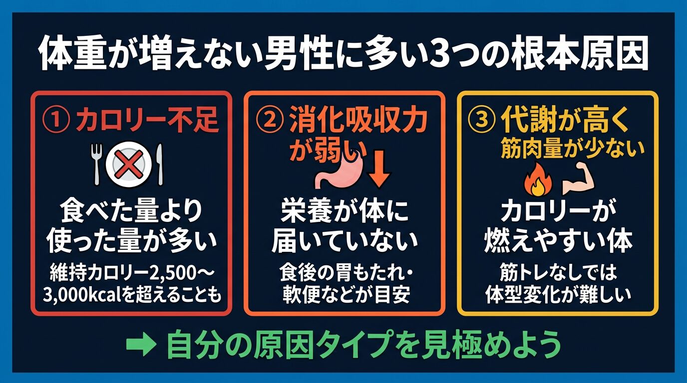体重が増えない男性に多い3つの根本原因